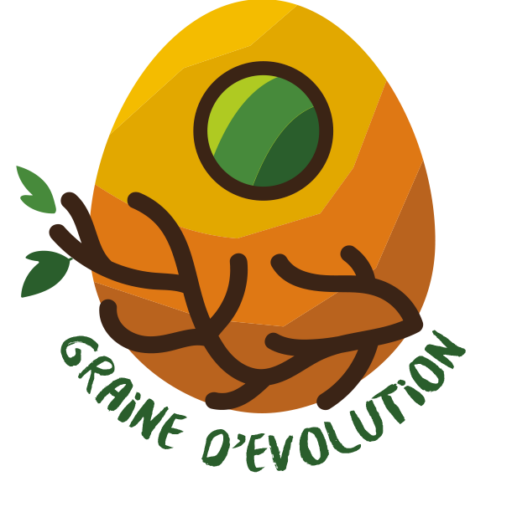 Graine d'évolution