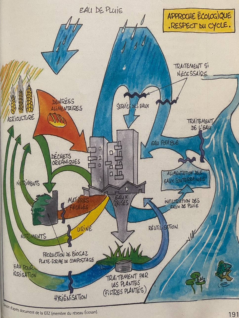 système écologique